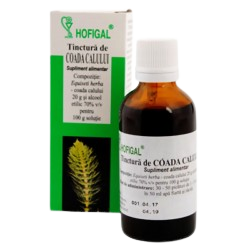 Horsetail tincture