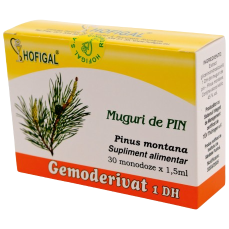 Gemoderivat din muguri de pin