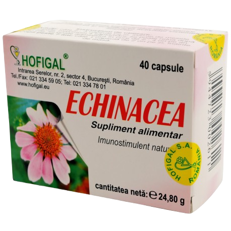 Echinacea extract concentrat - capsule