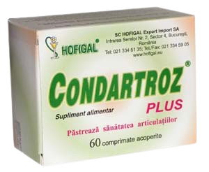 Box of condartroz Plus 60 tablets by Hofigal: Supports the integrity and function of the osteo-articular system, slows cartilage deterioration, protects joints.