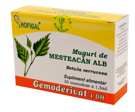 Gemoderivat din muguri de mesteacăn alb