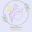 ANGELICA`S ESSENTIALS logo